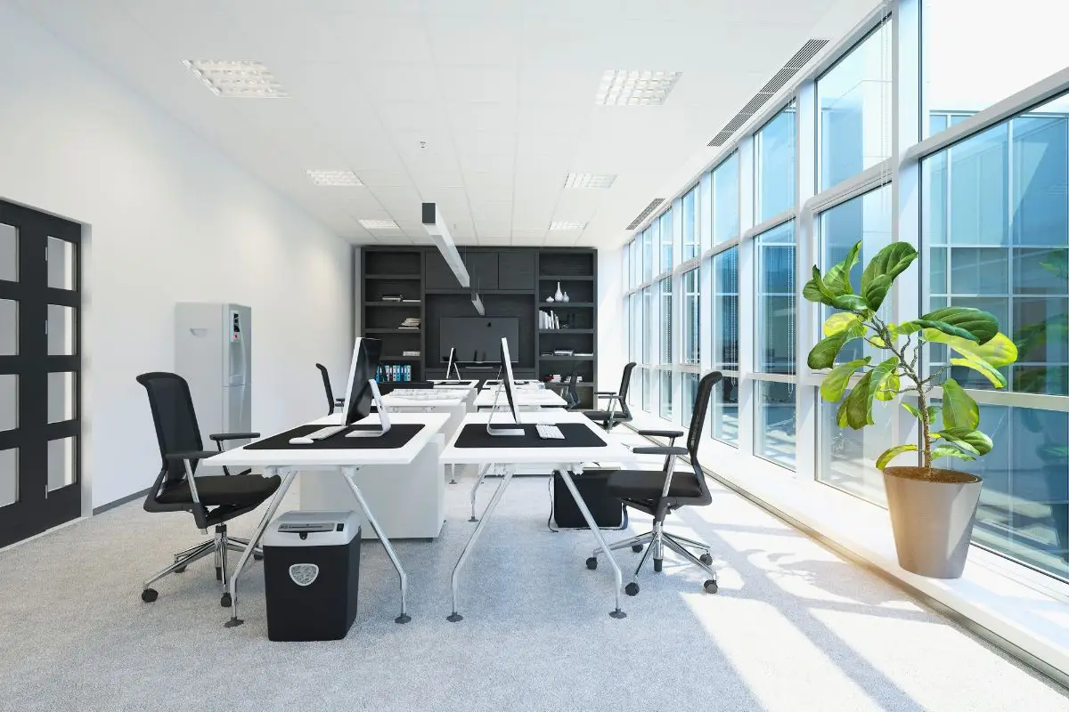 Office Cleaning